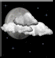 Wednesday Night: Mostly cloudy, with a low around 58.